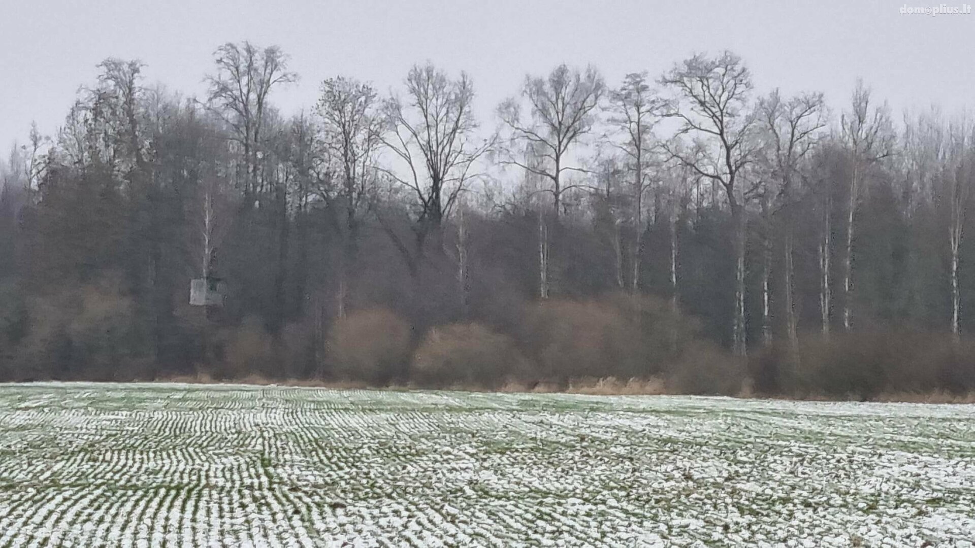 Parduodamas sklypas Kauno rajono sav., Girininkai I, Eglyno g.