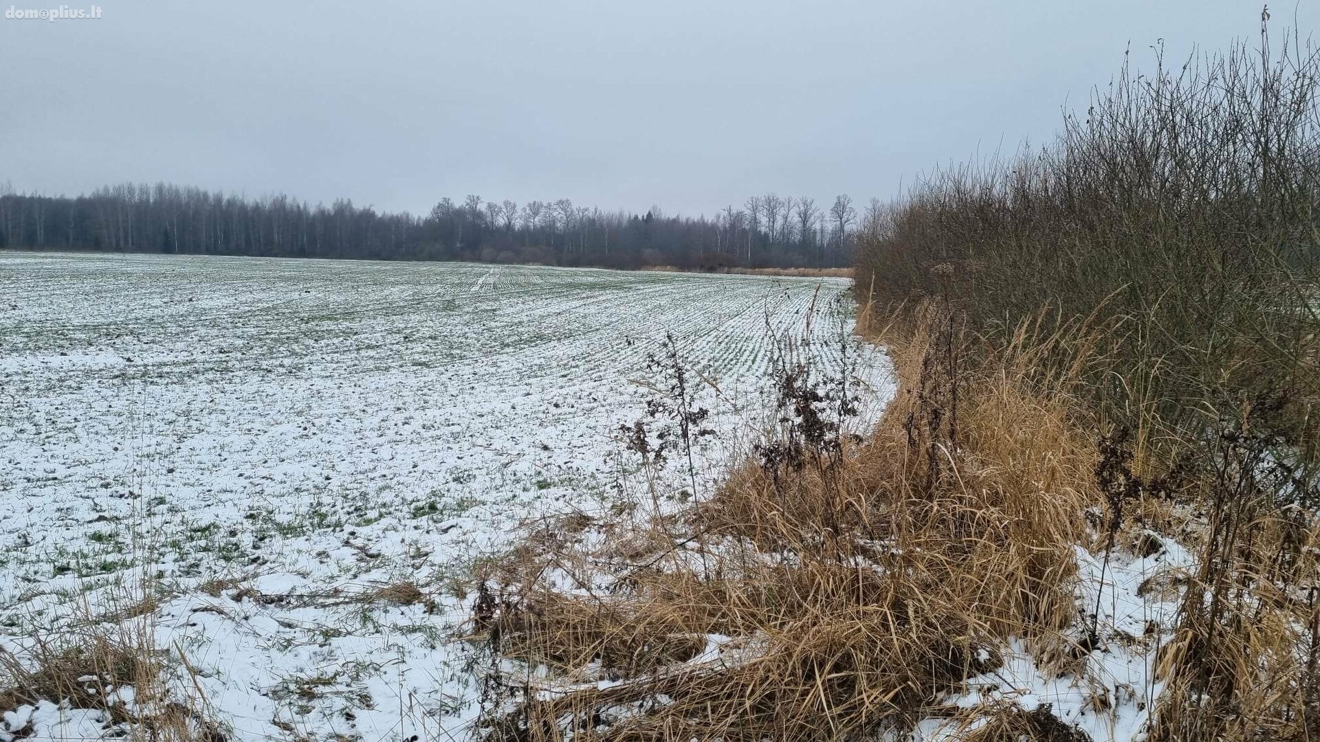 Parduodamas sklypas Kauno rajono sav., Girininkai I, Eglyno g.