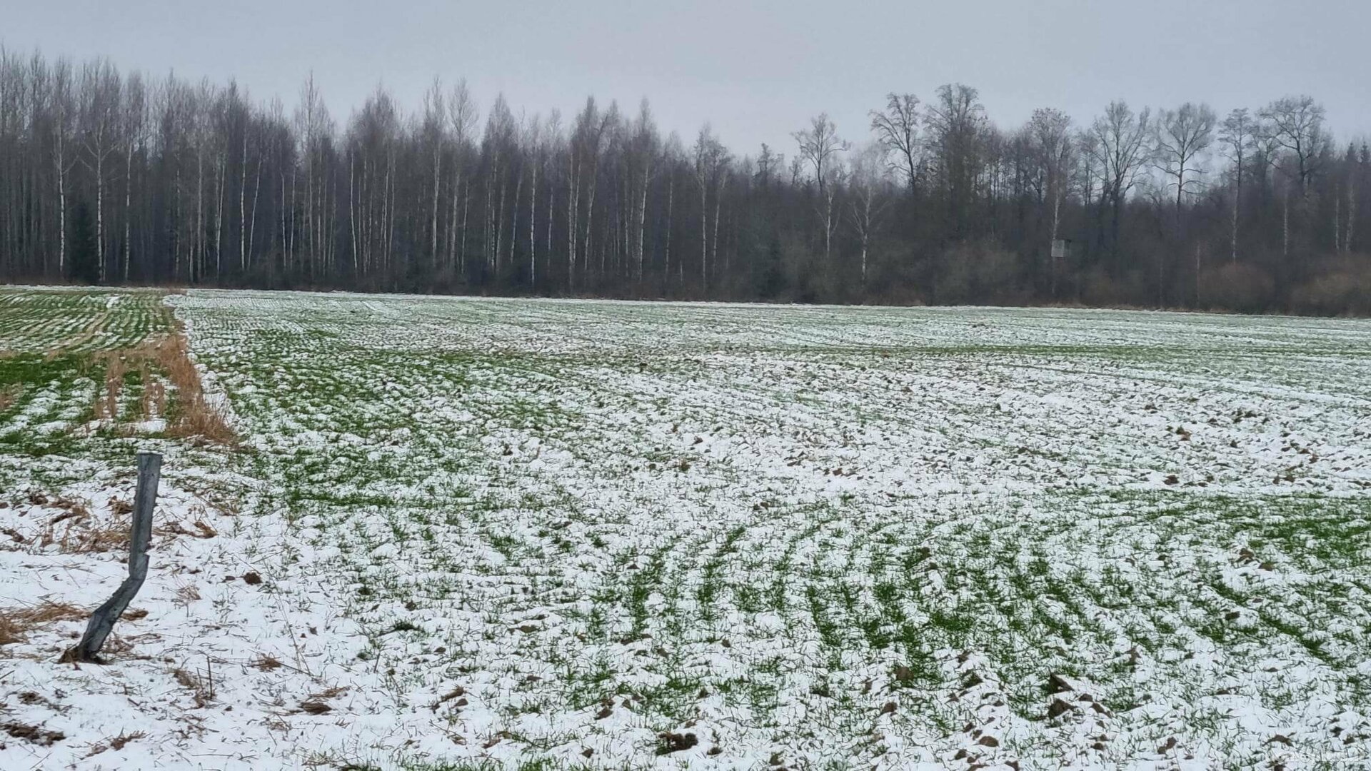 Parduodamas sklypas Kauno rajono sav., Girininkai I, Eglyno g.