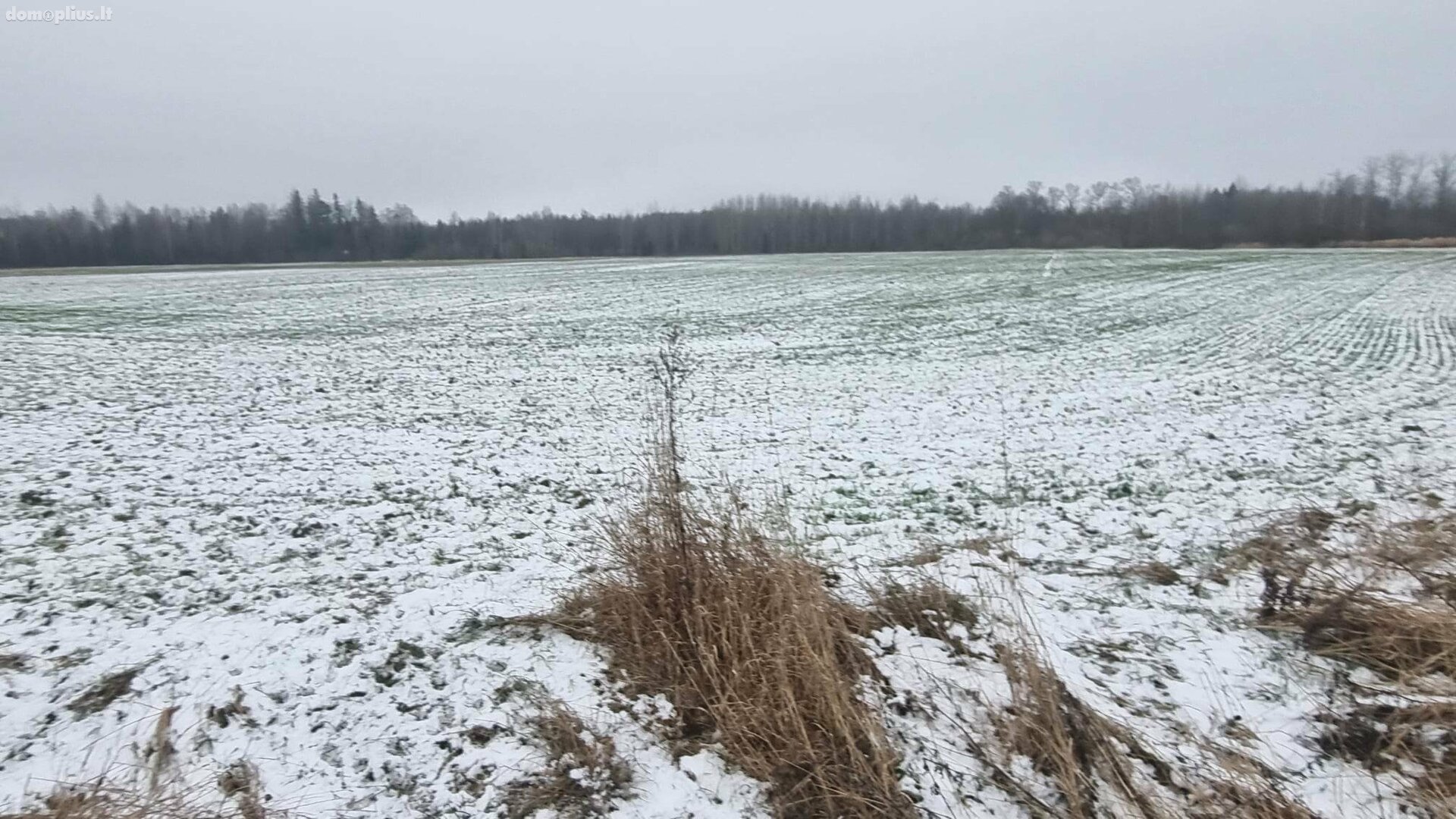 Parduodamas sklypas Kauno rajono sav., Girininkai I, Eglyno g.