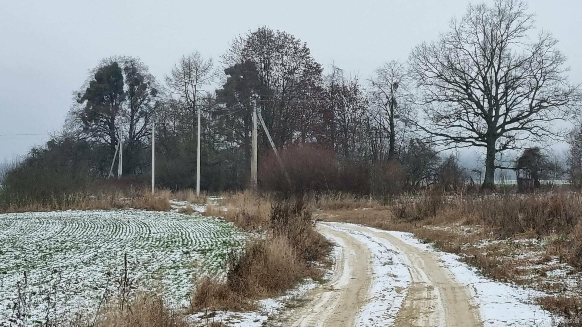 Parduodamas sklypas Kauno rajono sav., Girininkai I, Eglyno g.