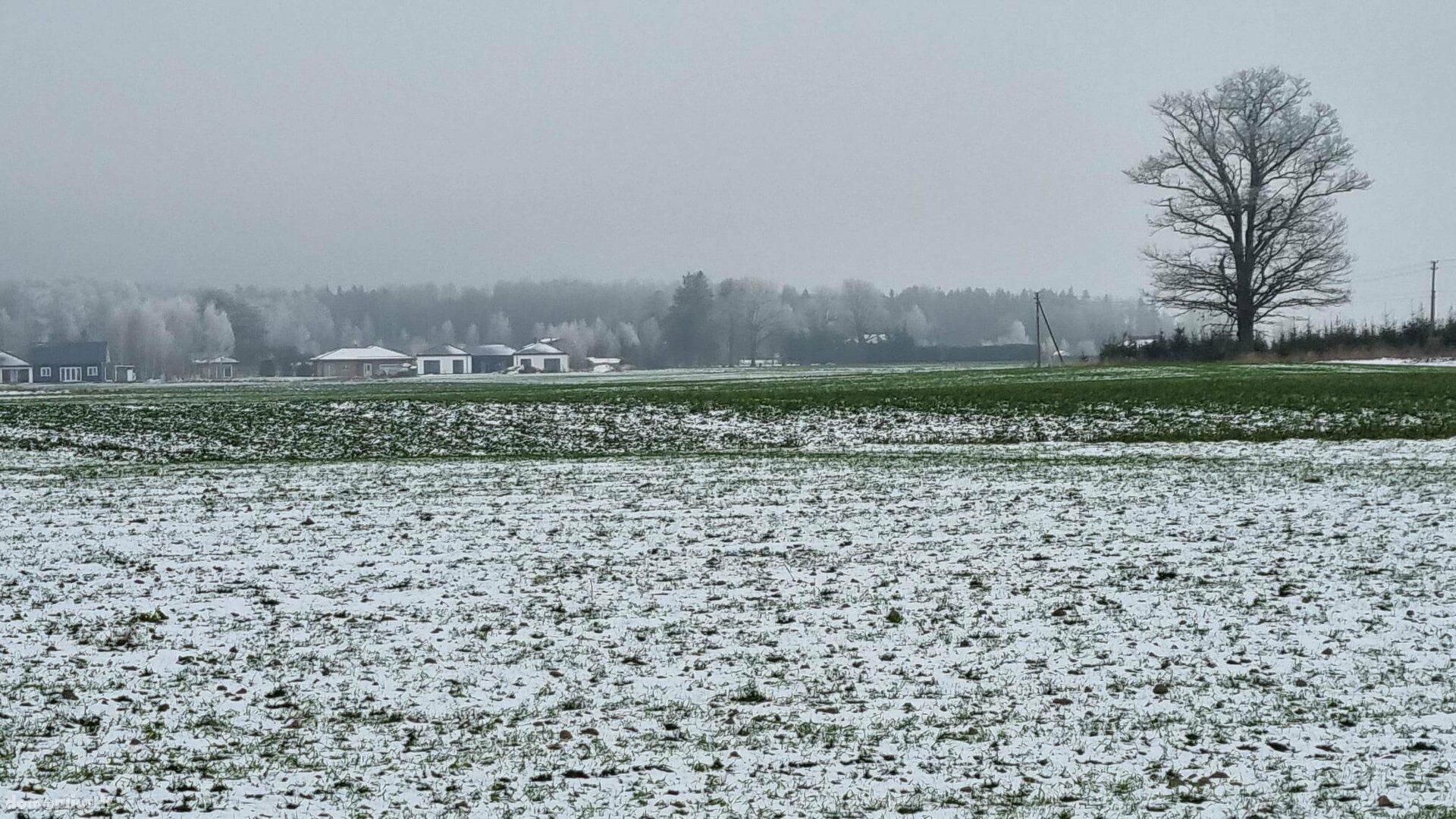 Участок Kauno rajono sav., Girininkai II, Pienių g.