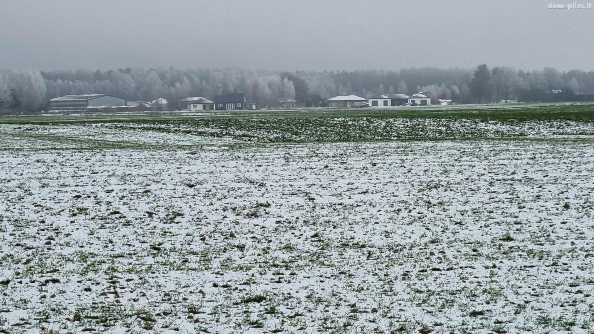 Участок Kauno rajono sav., Girininkai II, Pienių g.