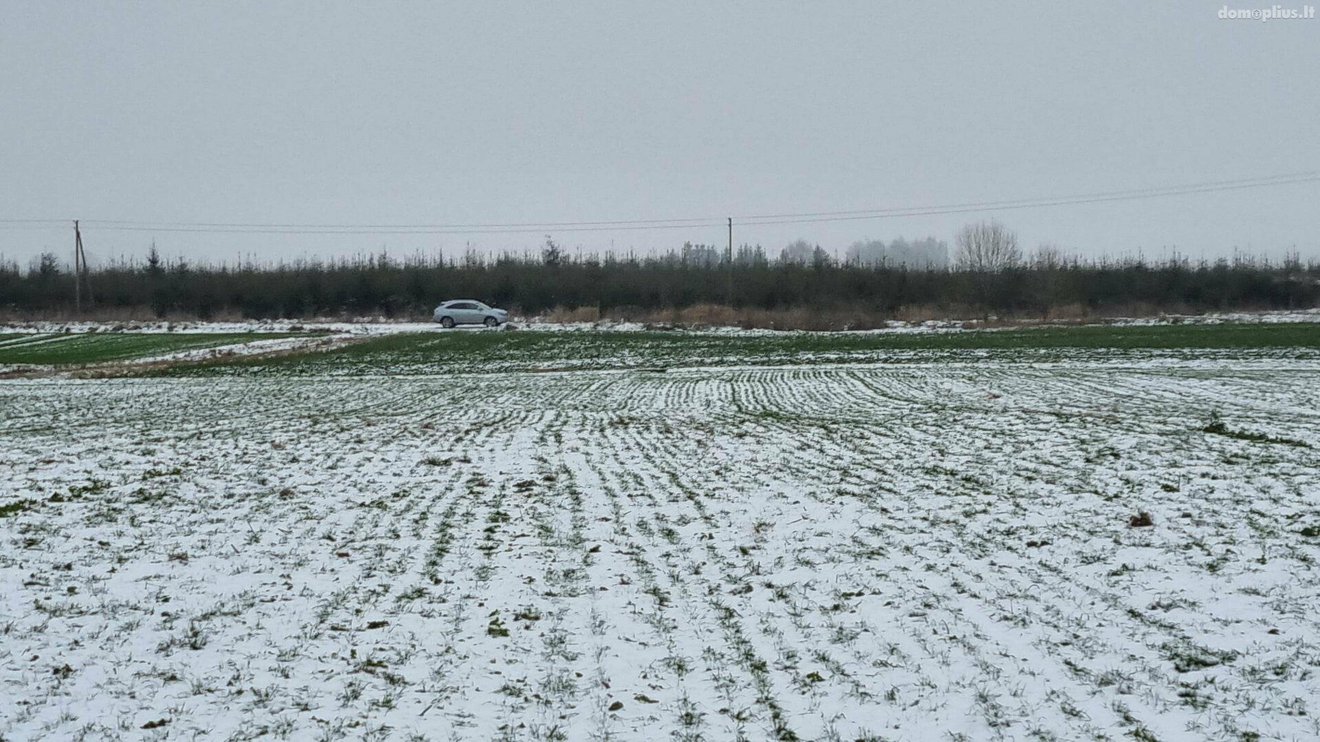 Участок Kauno rajono sav., Girininkai II, Pienių g.