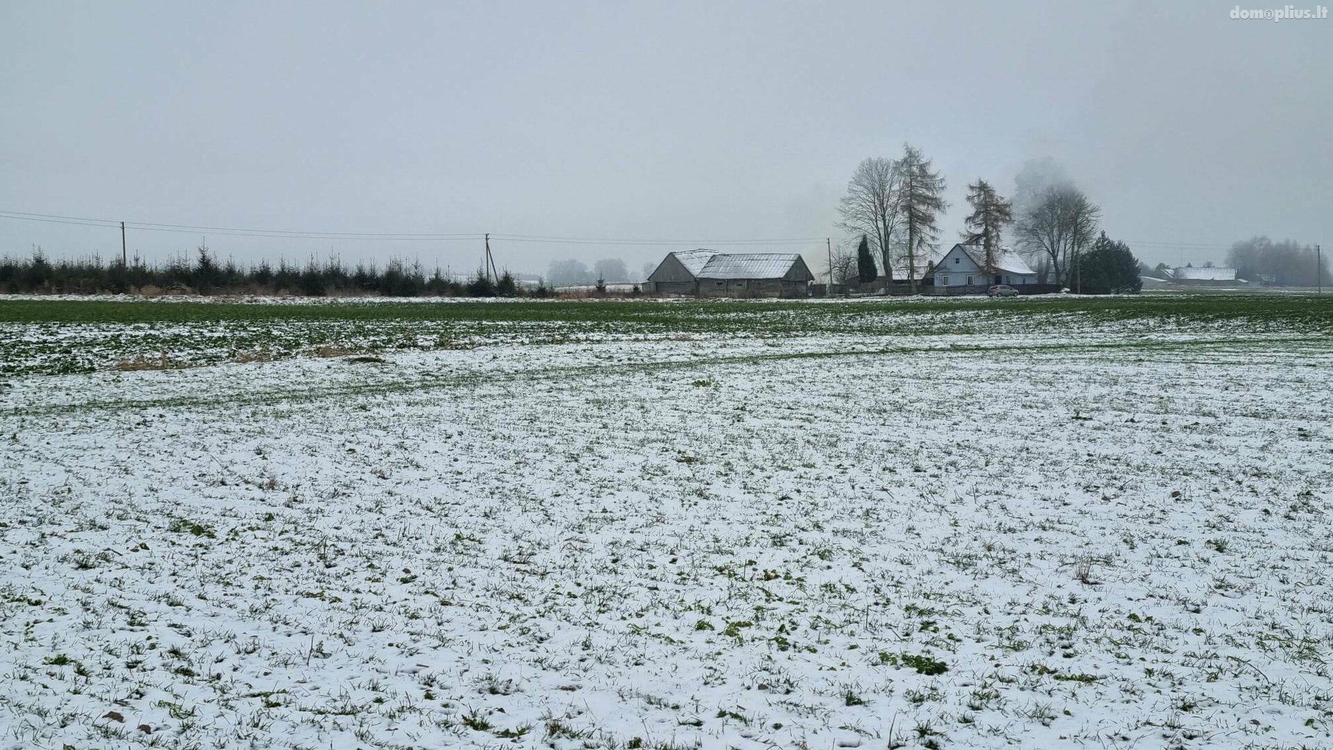 Участок Kauno rajono sav., Girininkai II, Pienių g.
