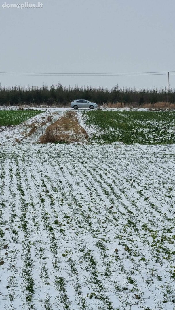 Участок Kauno rajono sav., Girininkai II, Pienių g.
