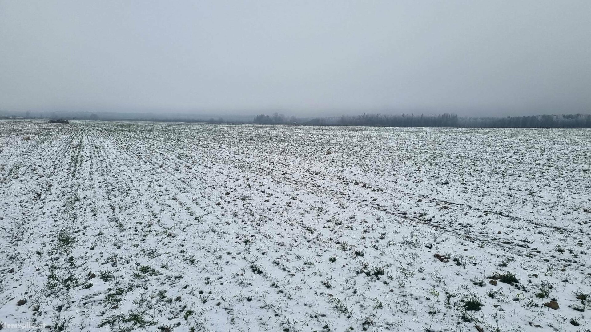 Участок Kauno rajono sav., Girininkai II, Pienių g.