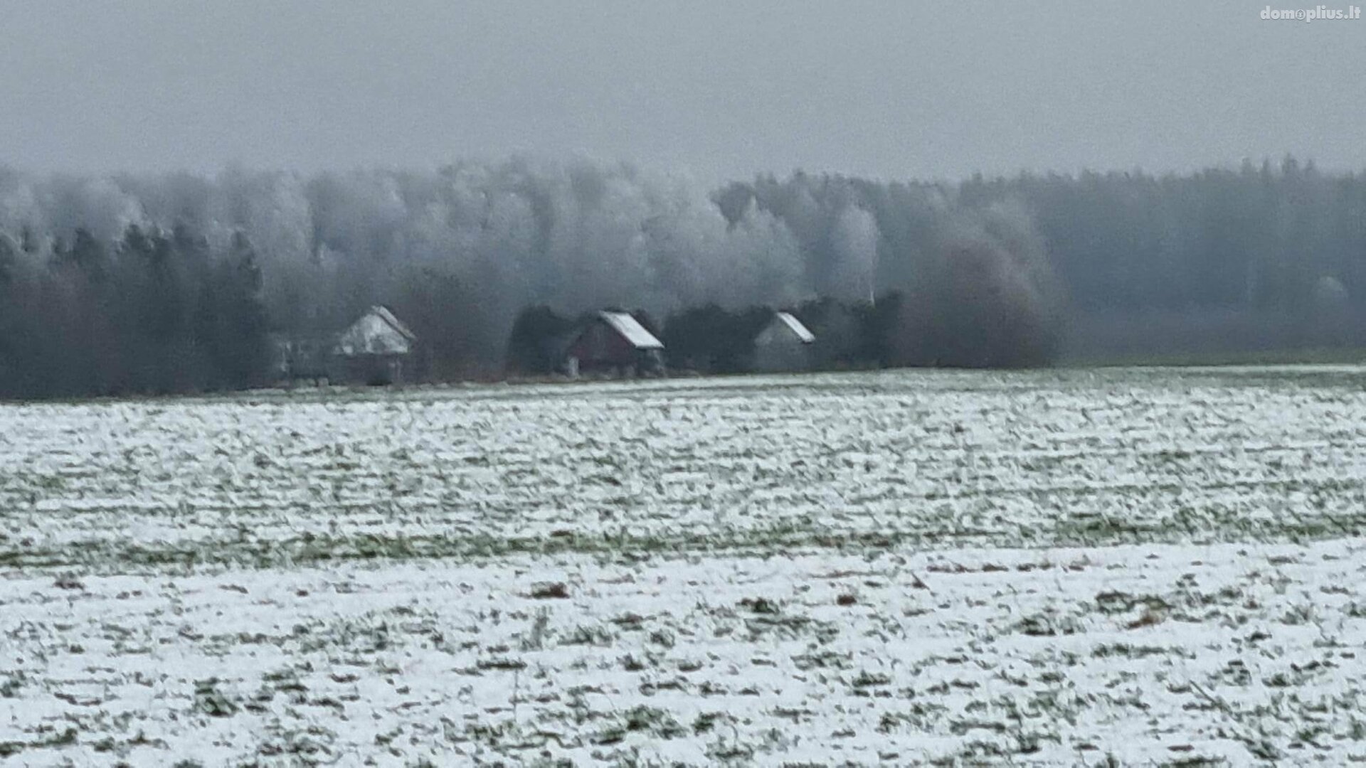 Участок Kauno rajono sav., Girininkai II, Pienių g.