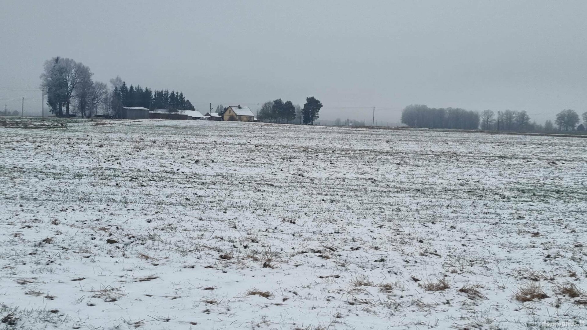 Участок Kauno rajono sav., Girininkai II, Pienių g.