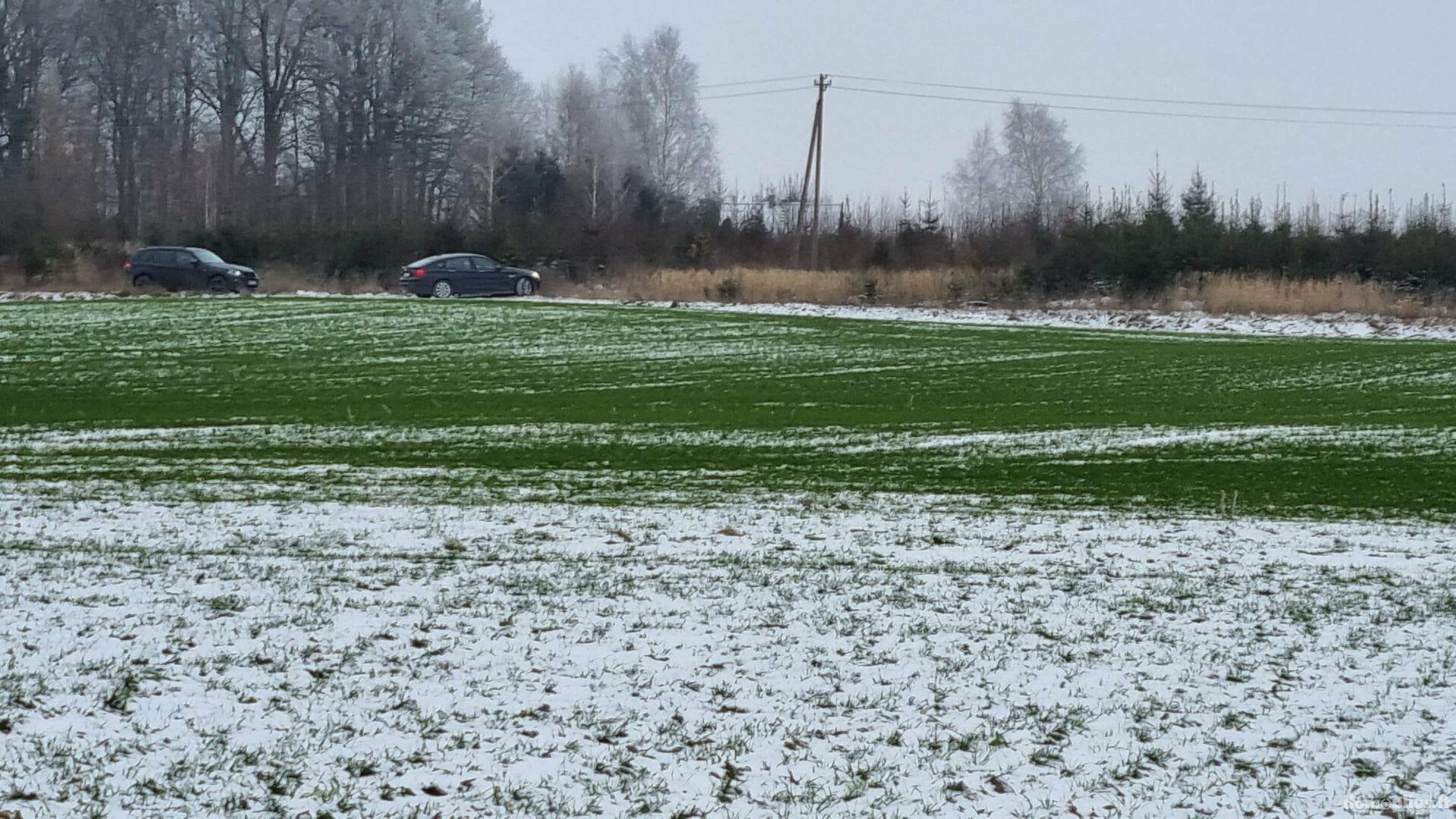 Участок Kauno rajono sav., Girininkai II, Pienių g.