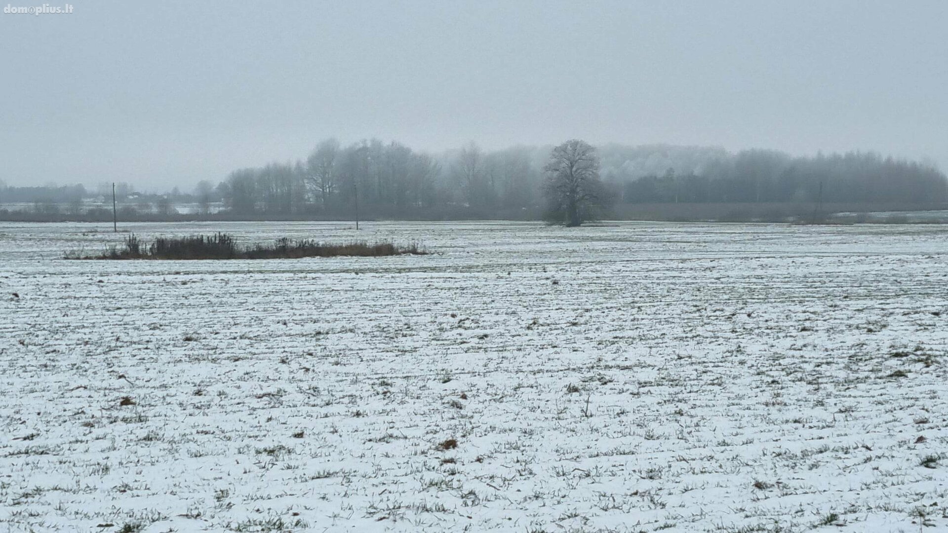 Участок Kauno rajono sav., Girininkai II, Pienių g.