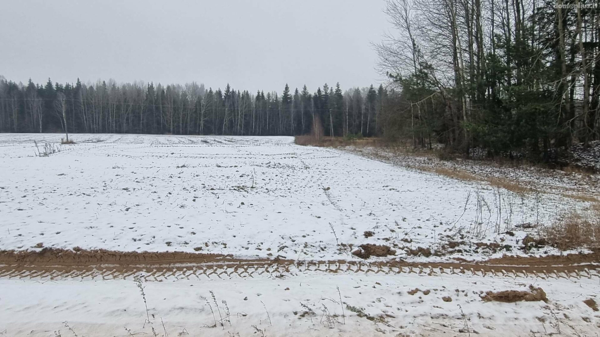 Parduodamas sklypas Kauno rajono sav., Girininkai I, Pabartupio g.