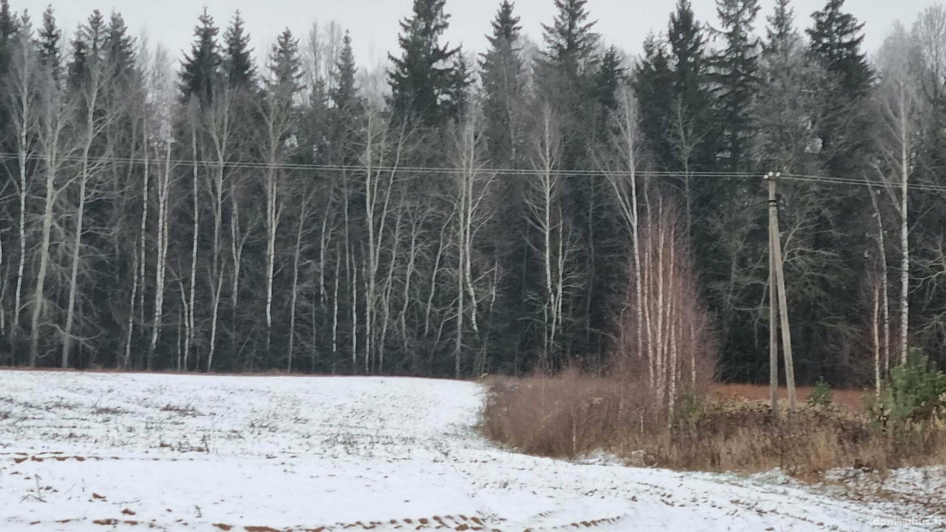 Parduodamas sklypas Kauno rajono sav., Girininkai I, Pabartupio g.