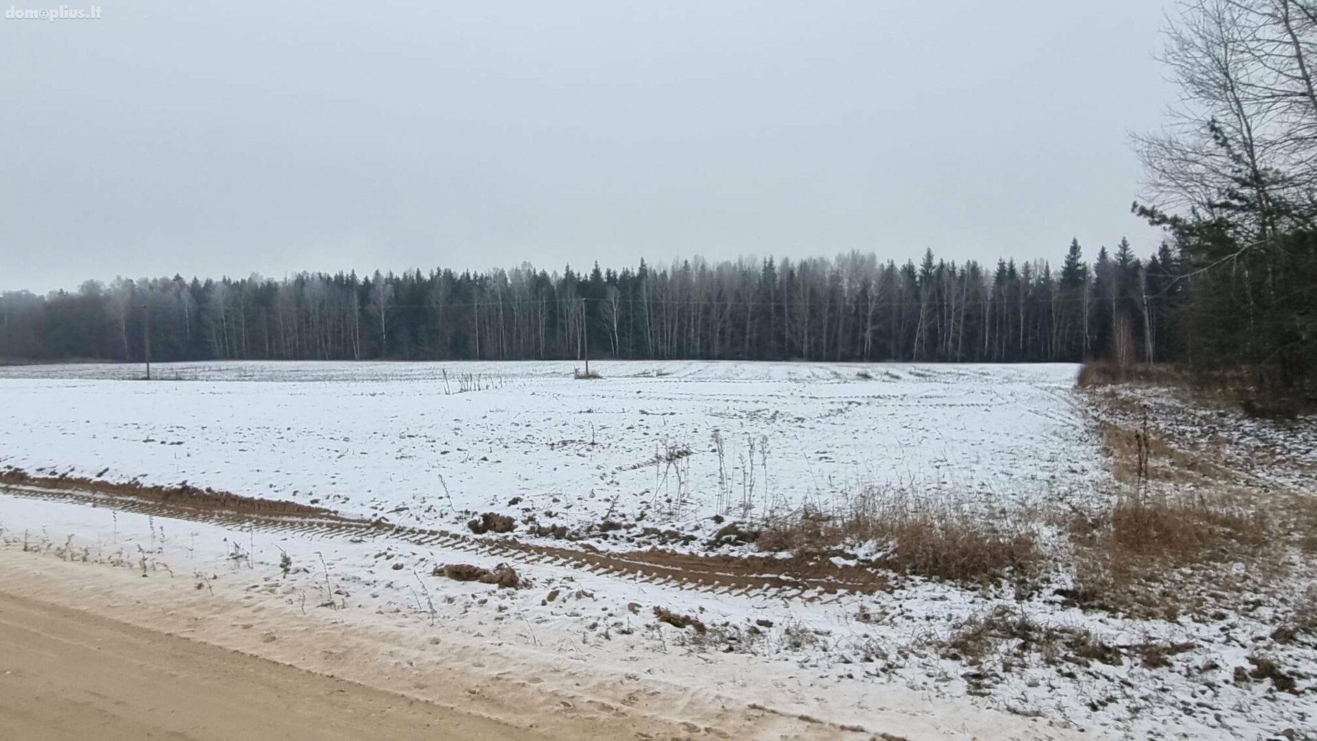 Parduodamas sklypas Kauno rajono sav., Girininkai I, Pabartupio g.