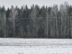 Land for sale Kauno rajono sav., Girininkai I, Pabartupio g. (16 picture)
