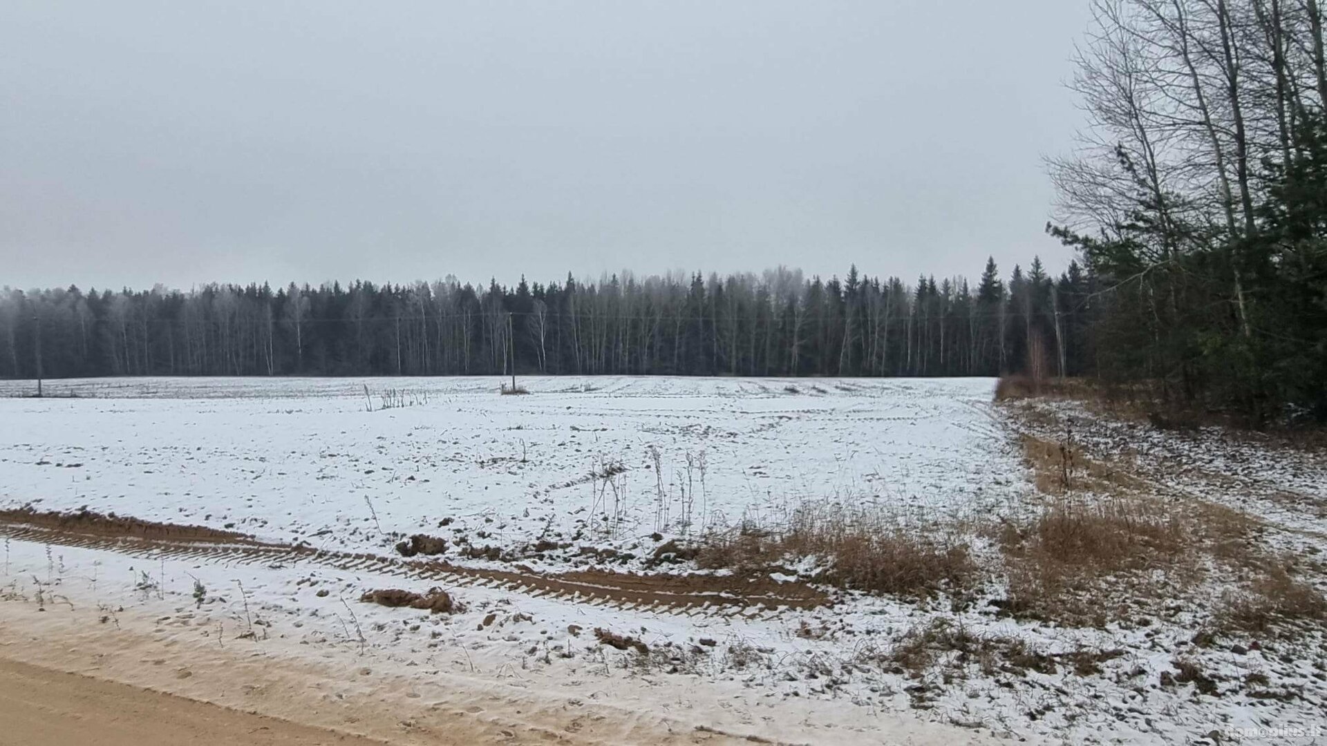 Parduodamas sklypas Kauno rajono sav., Girininkai I, Pabartupio g.