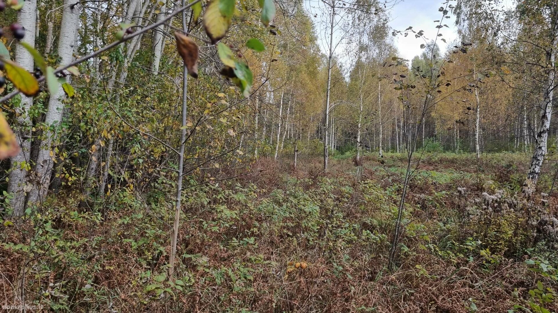 Parduodamas sklypas Kauno rajono sav., Krušinskuose