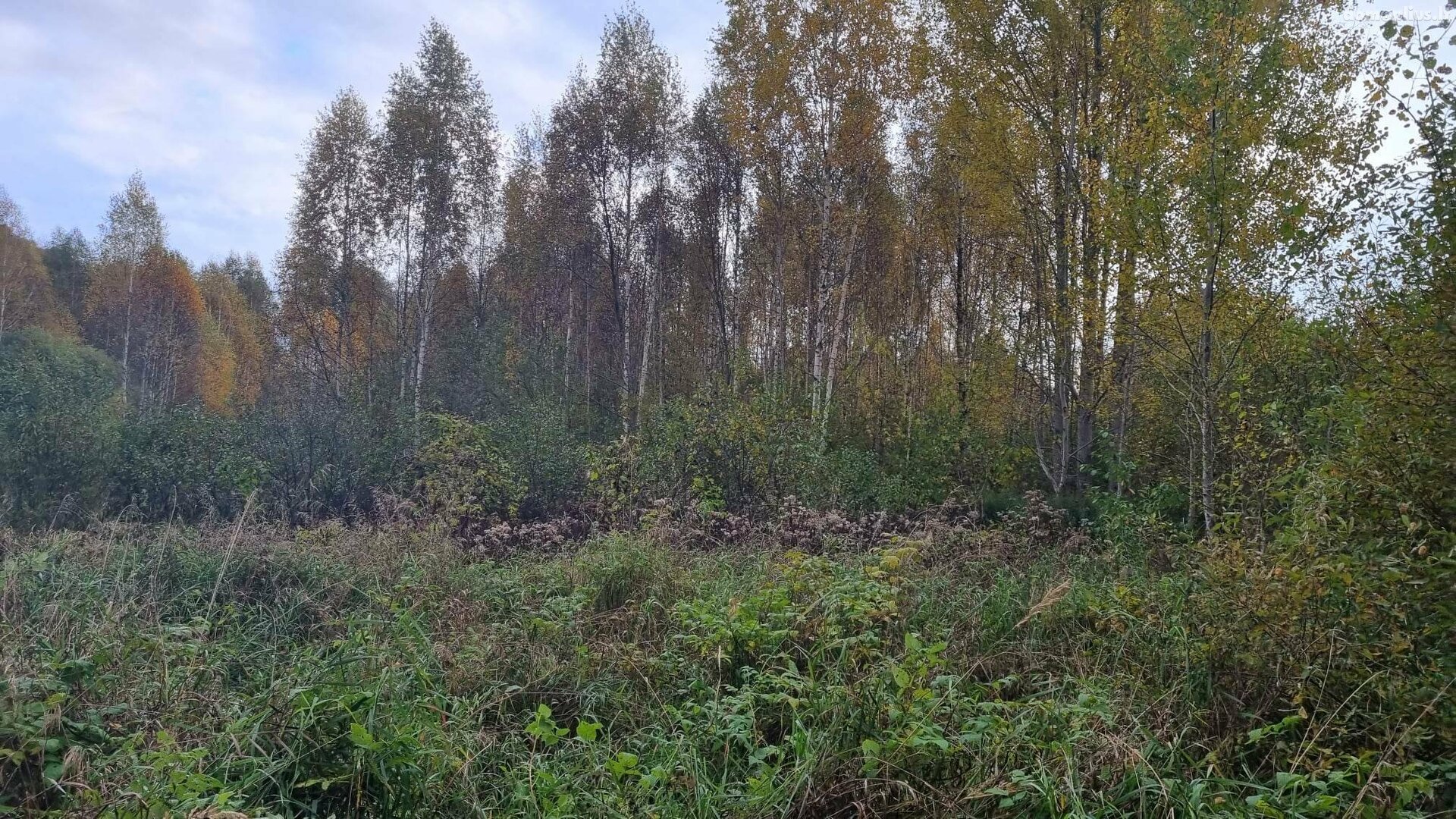 Parduodamas sklypas Kauno rajono sav., Krušinskuose