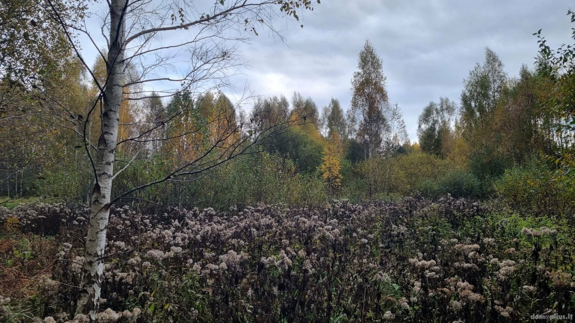 Parduodamas sklypas Kauno rajono sav., Krušinskuose