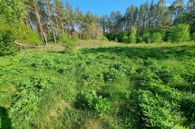 Parduodamas sklypas Šalčininkų rajono sav., Senosios Rakliškės