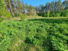 Parduodamas sklypas Šalčininkų rajono sav., Senosios Rakliškės