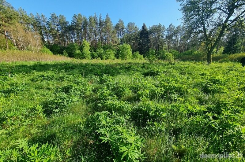 Parduodamas sklypas Šalčininkų rajono sav., Senosios Rakliškės