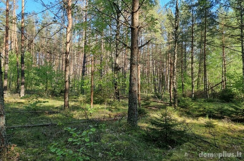 Parduodamas sklypas Šalčininkų rajono sav., Senosios Rakliškės