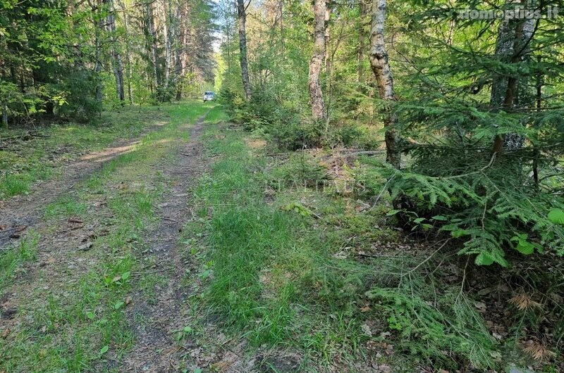 Parduodamas sklypas Šalčininkų rajono sav., Senosios Rakliškės