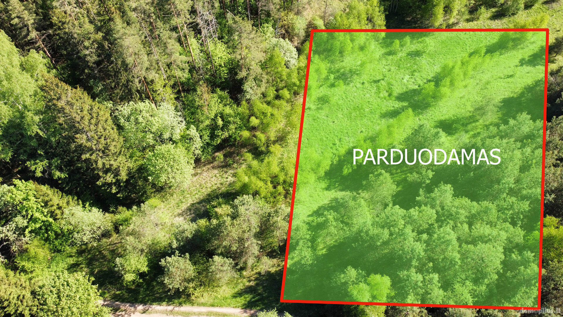 Land for sale Vilniaus rajono sav., Giruliuose