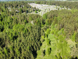 Land for sale Vilniaus rajono sav., Giruliuose