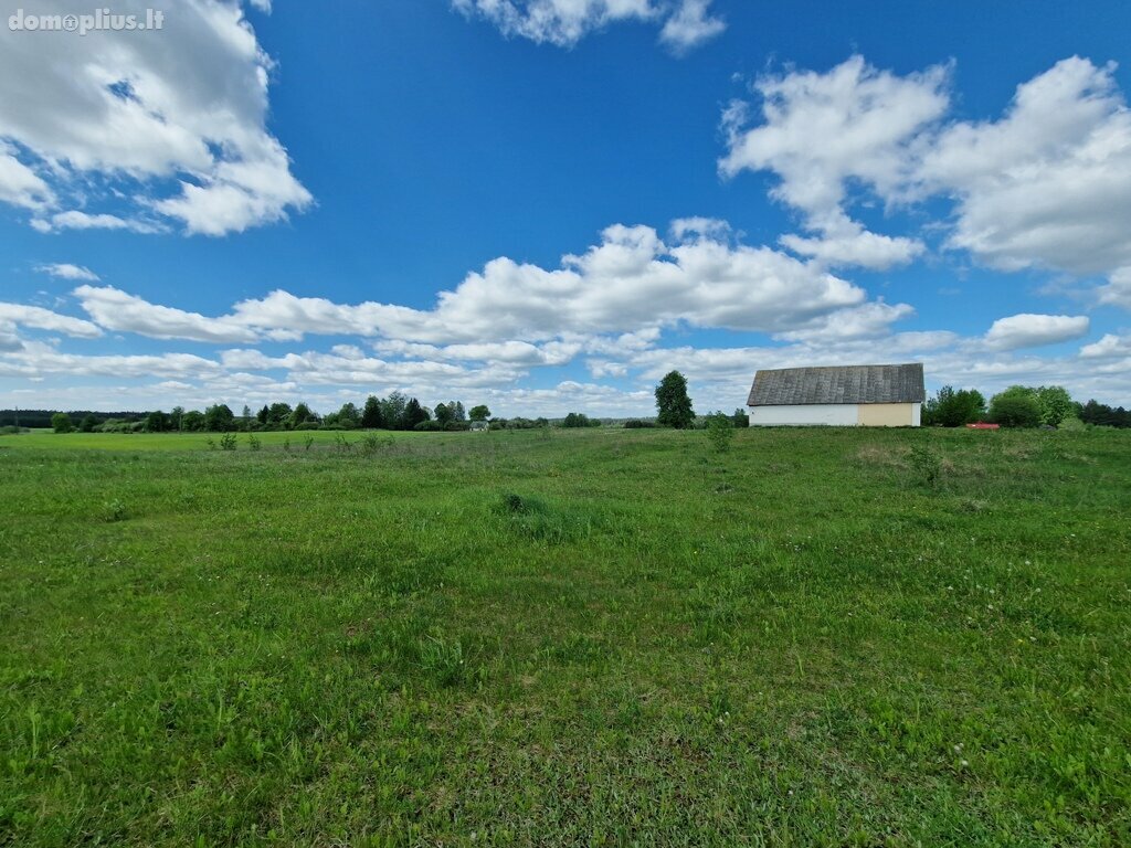 Участок Druskininkų sav., Radvilonyse, Radvilonių g.