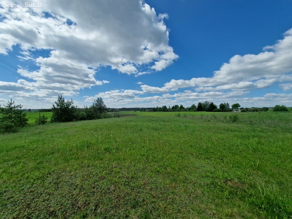 Parduodamas sklypas Druskininkų sav., Radvilonyse, Radvilonių g.