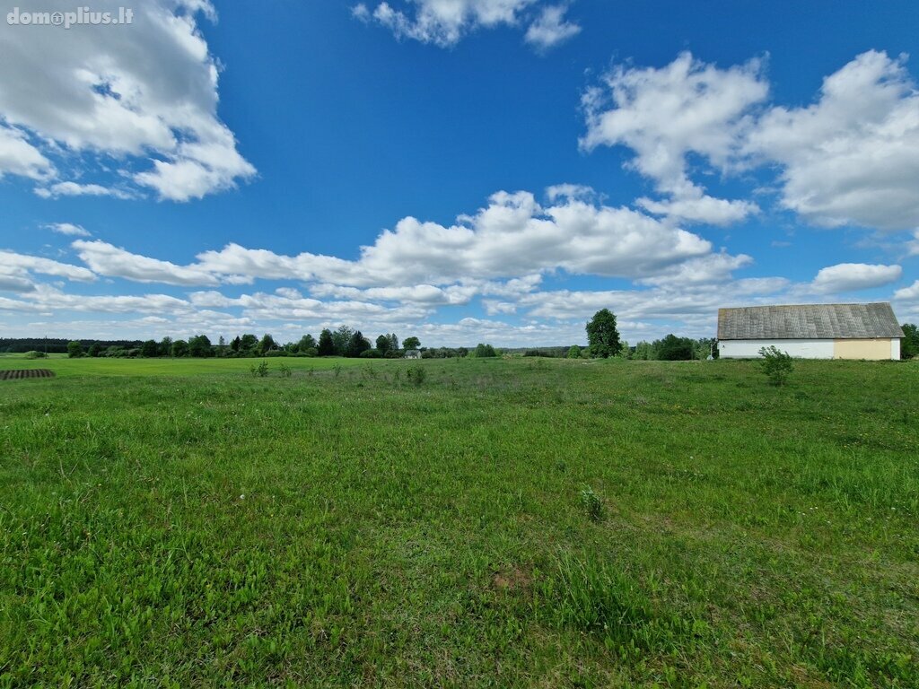 Участок Druskininkų sav., Radvilonyse, Radvilonių g.