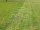 Land for sale Klaipėdos rajono sav., Kaspariškiuose (3 picture)