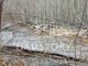 Land for sale Klaipėdos rajono sav., Pažvelsyje (5 picture)