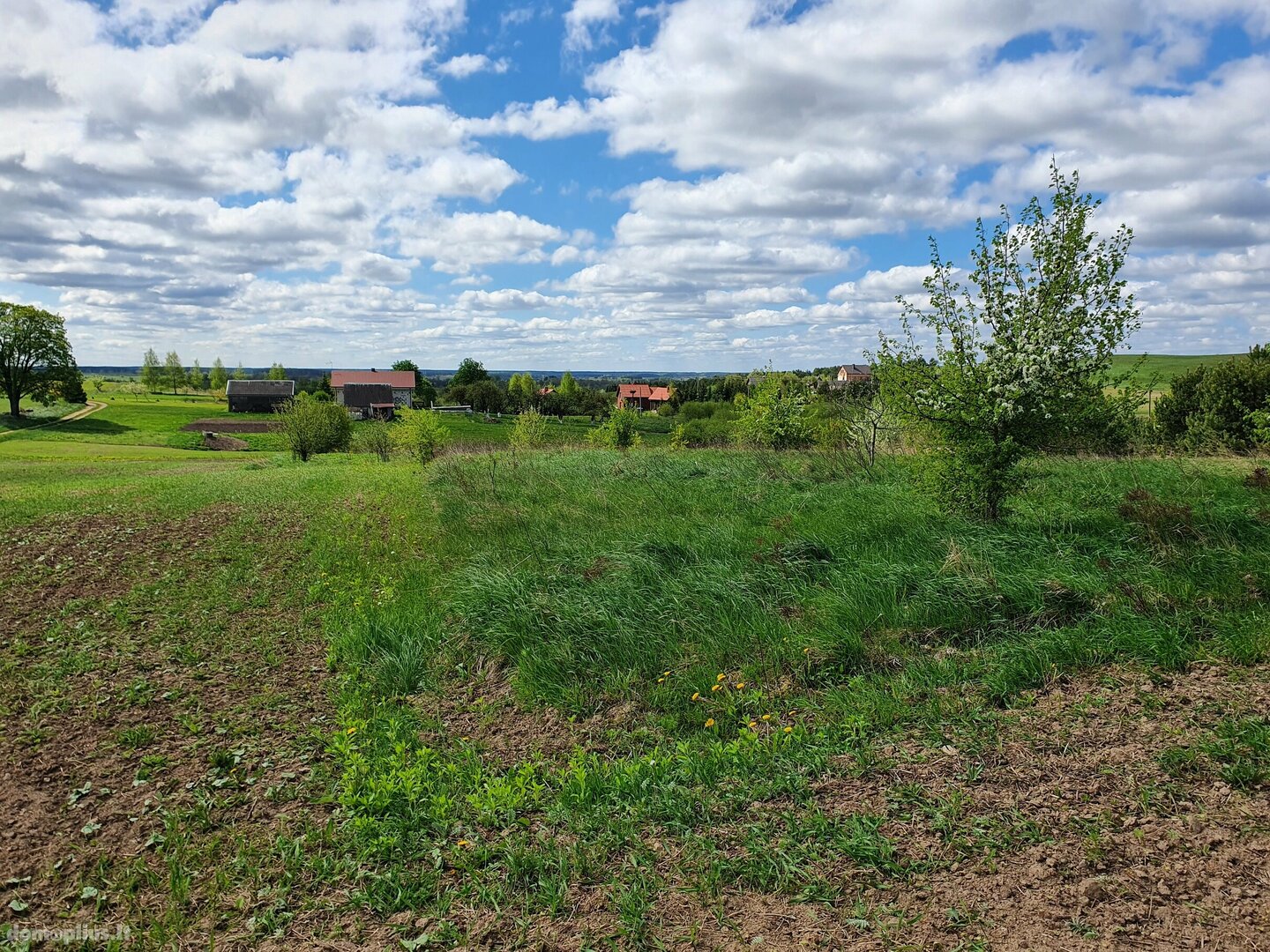 Parduodamas sklypas Trakų rajono sav., Padvarionyse, Dubuklio g.