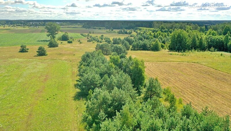 Parduodamas sklypas Vilniaus rajono sav., Pučkalaukyje