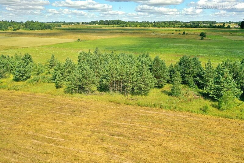 Parduodamas sklypas Vilniaus rajono sav., Pučkalaukyje