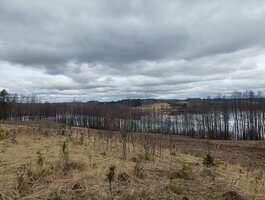 Участок Zarasų rajono sav., Saliniuose