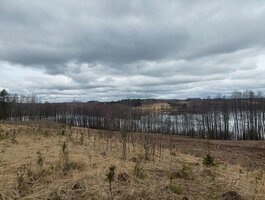 Parduodamas sklypas Zarasų rajono sav., Saliniuose