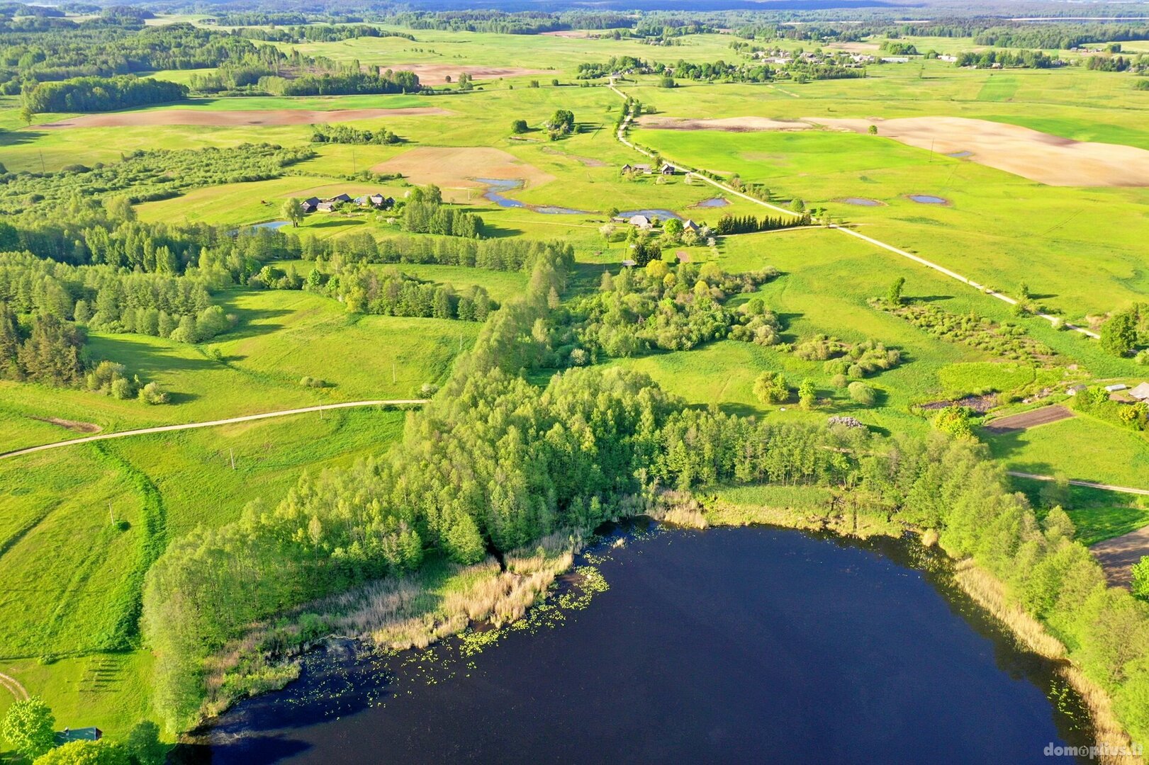 Land for sale Ignalinos rajono sav., Maksiūnuose