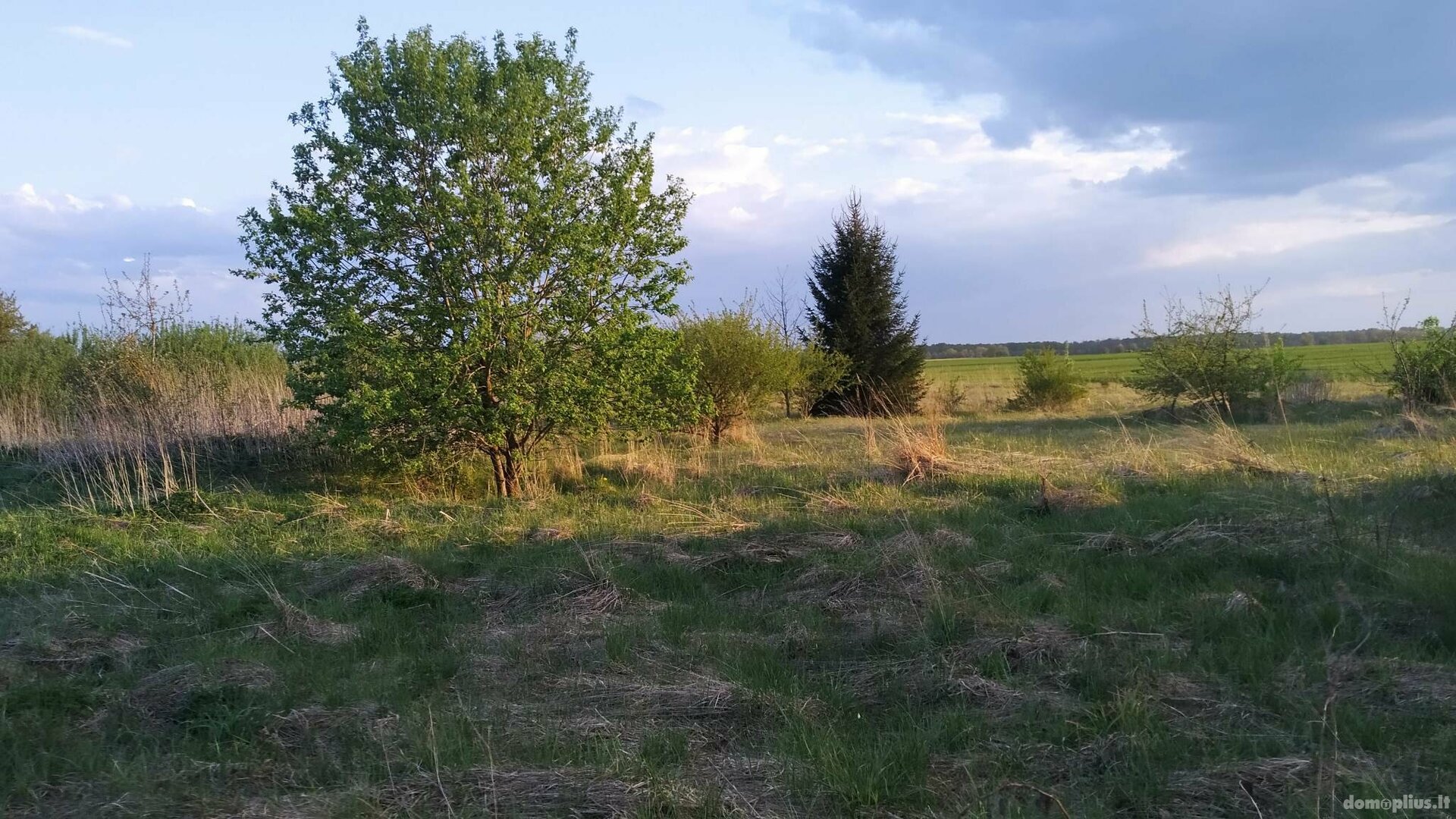 Land for sale Radviliškio rajono sav., Jadvimpolyje