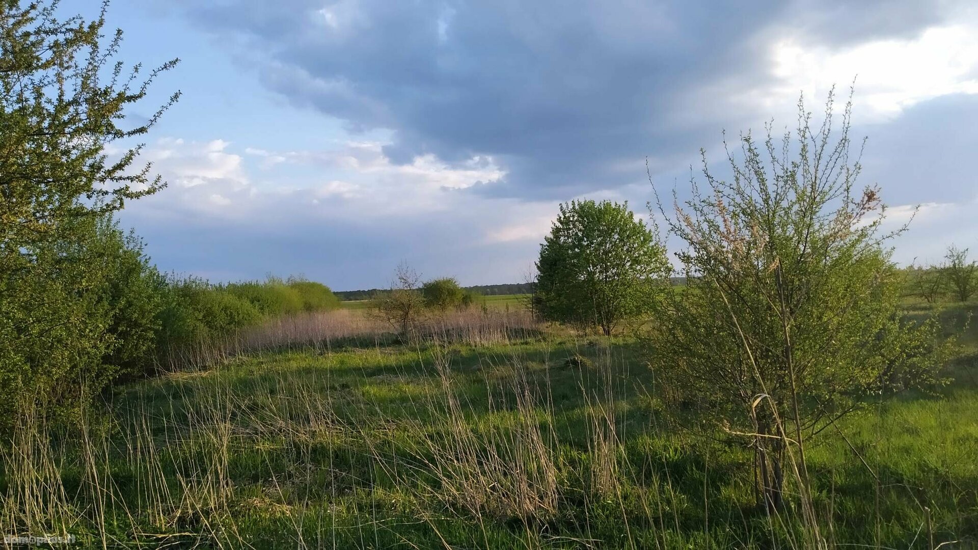 Parduodamas sklypas Radviliškio rajono sav., Jadvimpolyje