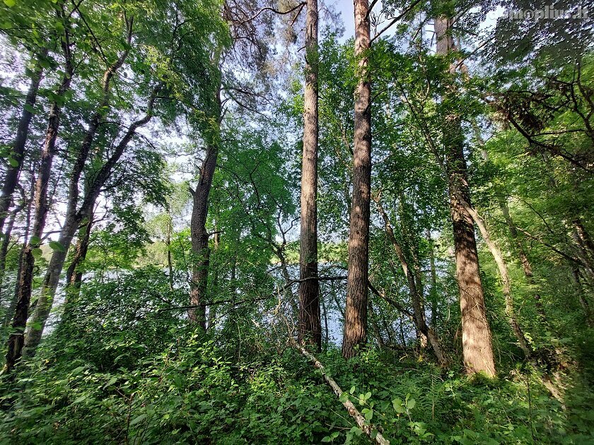 Parduodamas sklypas Zarasų rajono sav., Zokoriuose