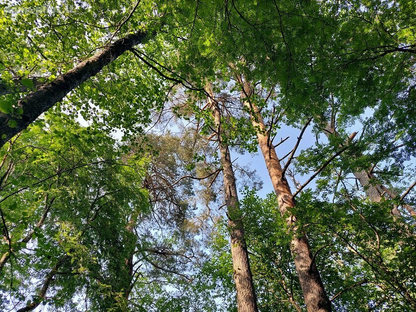 Parduodamas sklypas Zarasų rajono sav., Zokoriuose