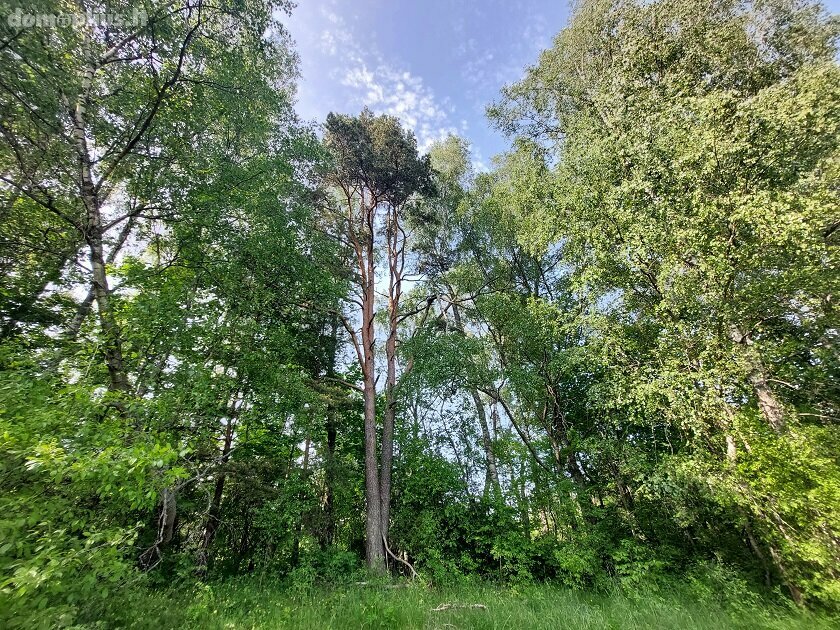Land for sale Zarasų rajono sav., Zokoriuose