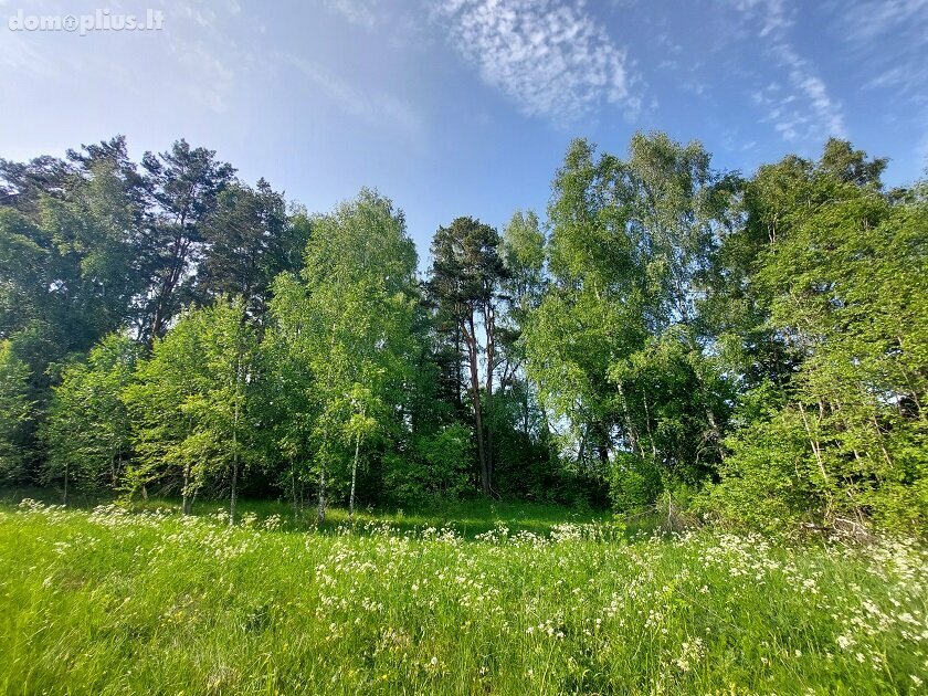 Land for sale Zarasų rajono sav., Zokoriuose