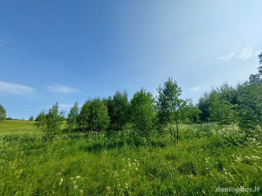 Parduodamas sklypas Zarasų rajono sav., Zokoriuose