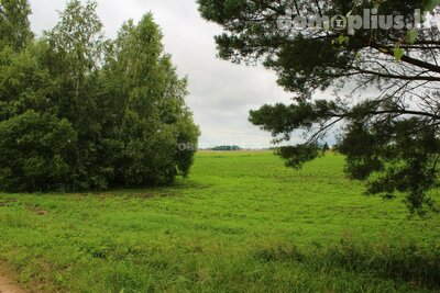 Land for sale Panevėžio rajono sav., Šilagalyje