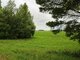 Land for sale Panevėžio rajono sav., Šilagalyje (1 picture)